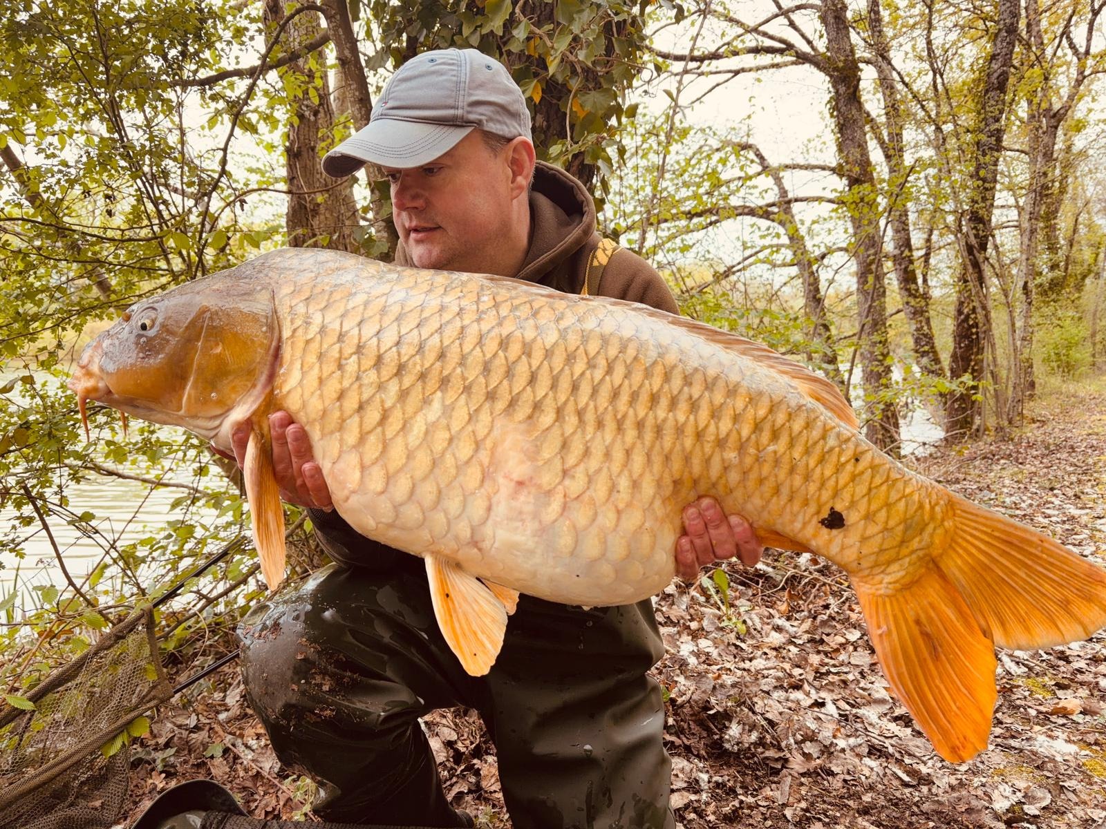 Fish photos photo 2 Brocard Small