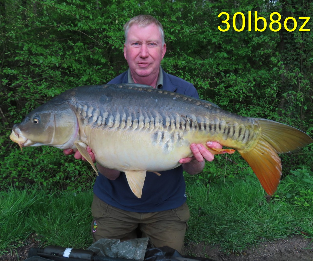 Fish photos photo 2 Brocard Small