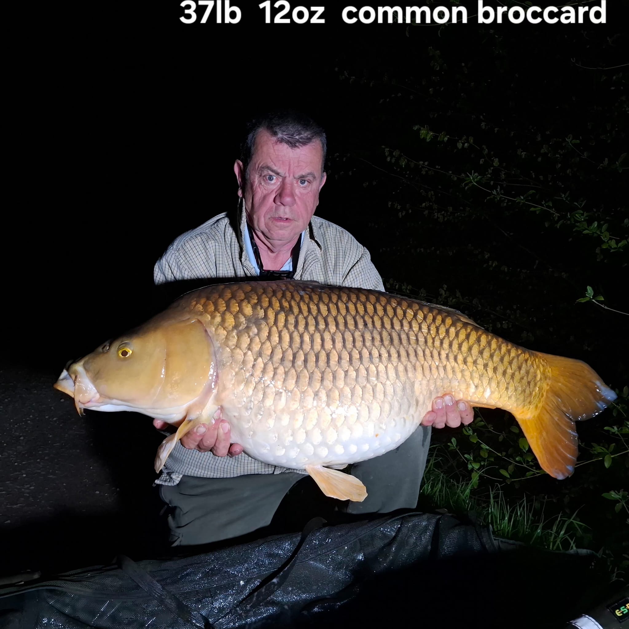 Fish photos photo 3 Brocard Small