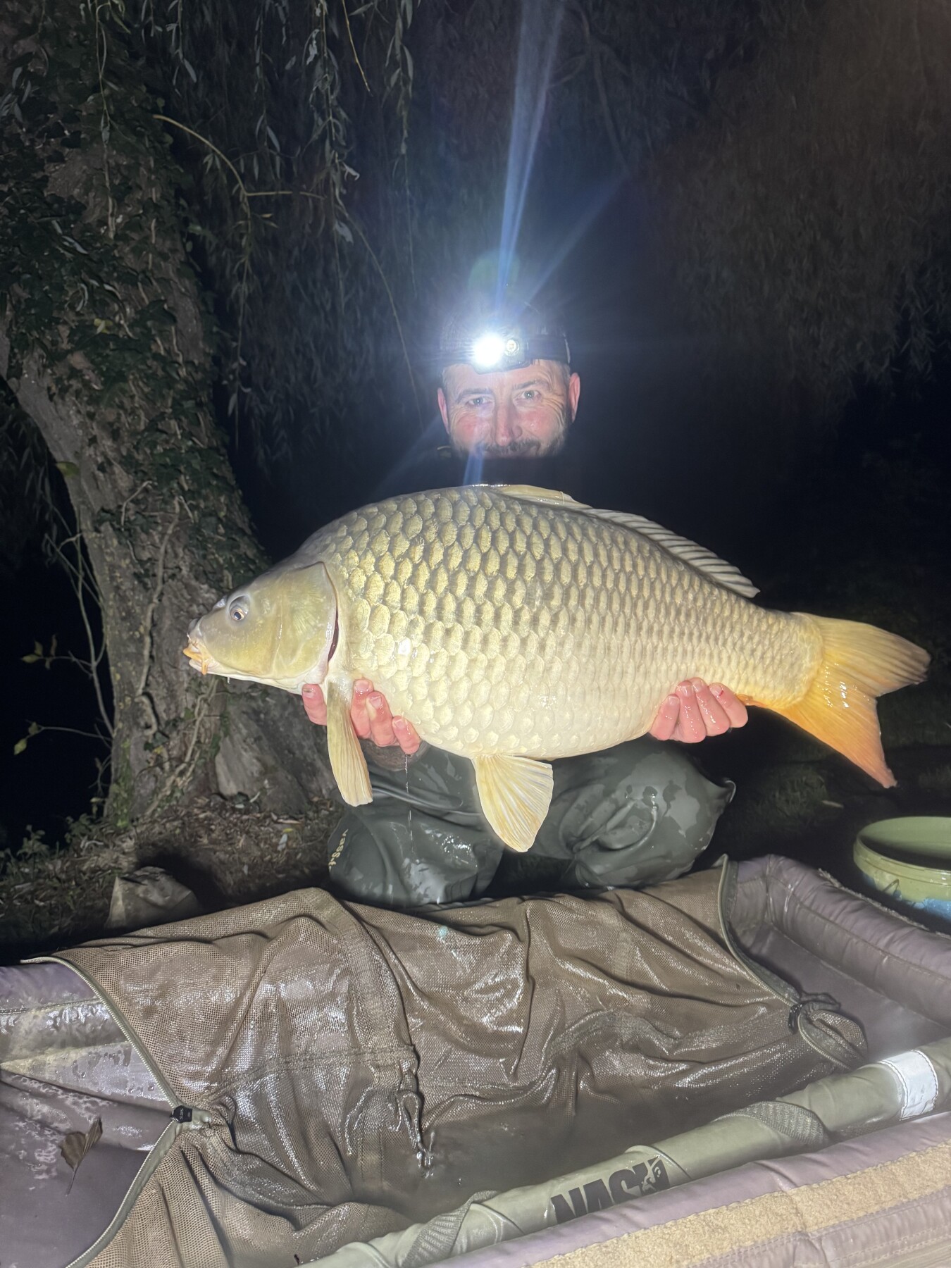 A carp from Eau De Vie South, Oct 2026