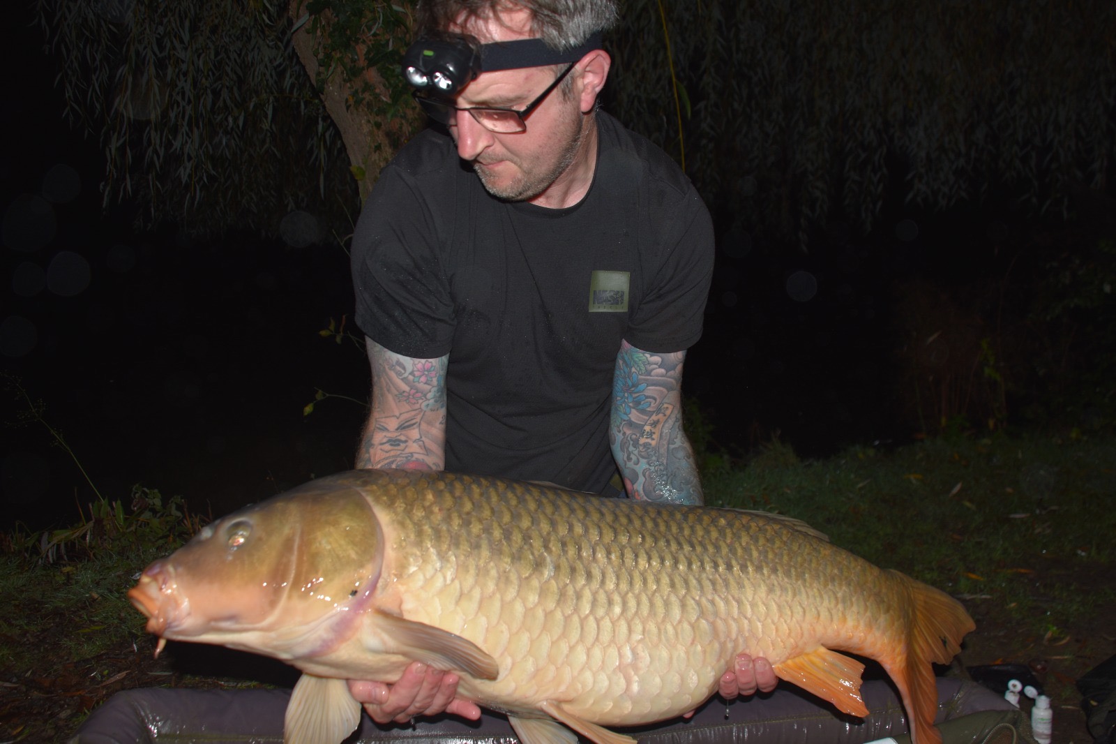 A carp from Eau De Vie South, Oct 2026