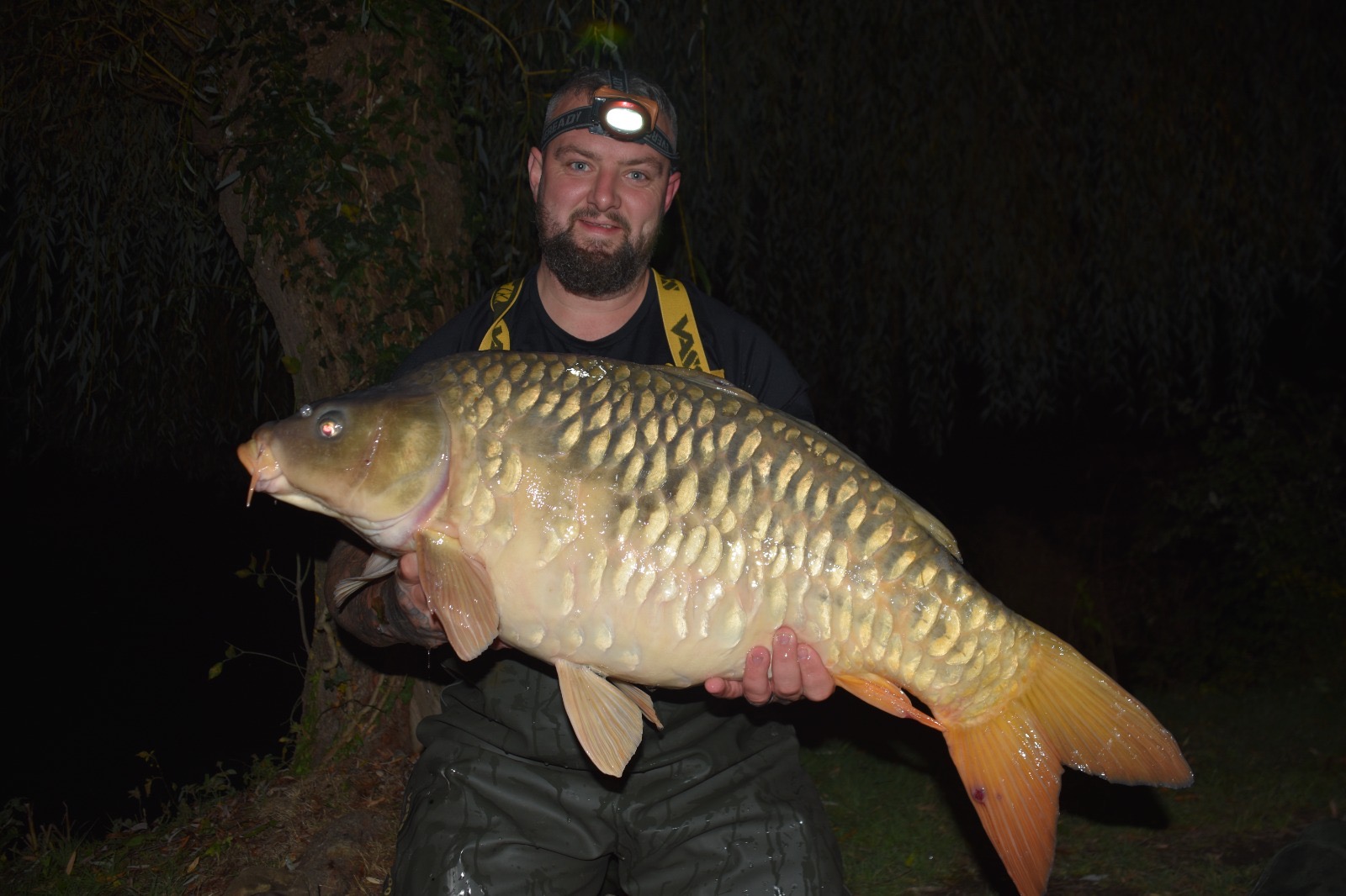 A carp from Eau De Vie South, Oct 2026